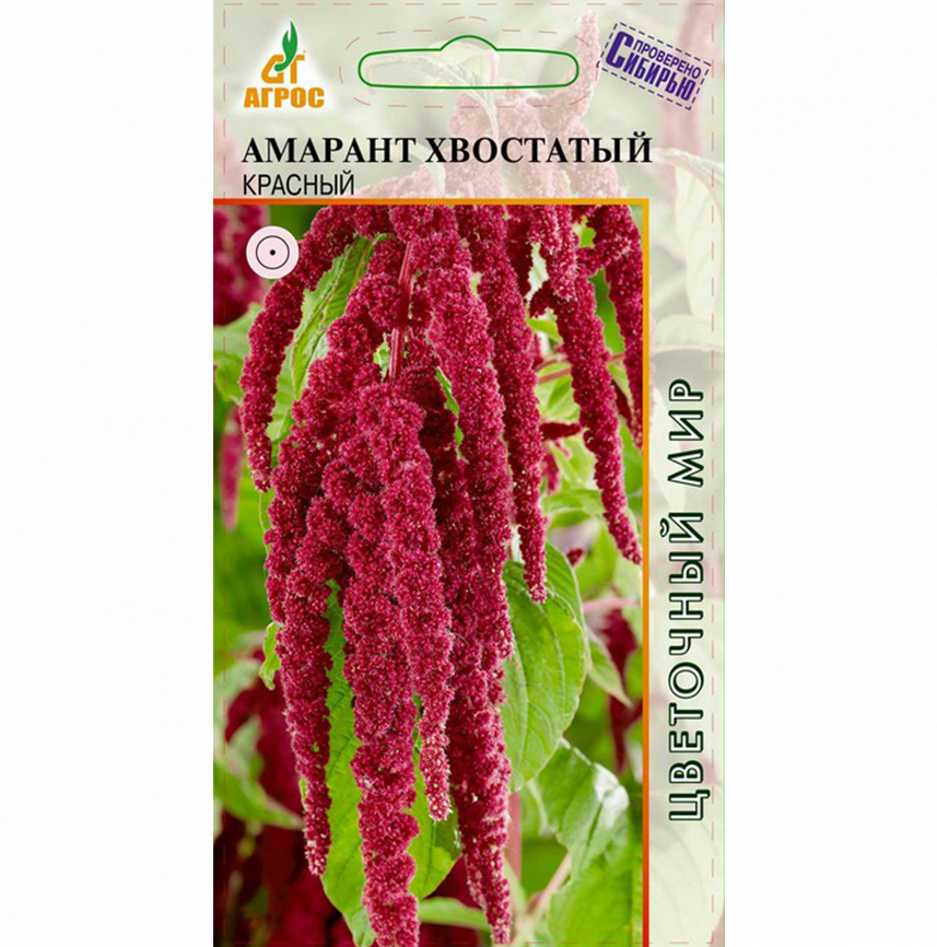 Амарант Хвостатый красный