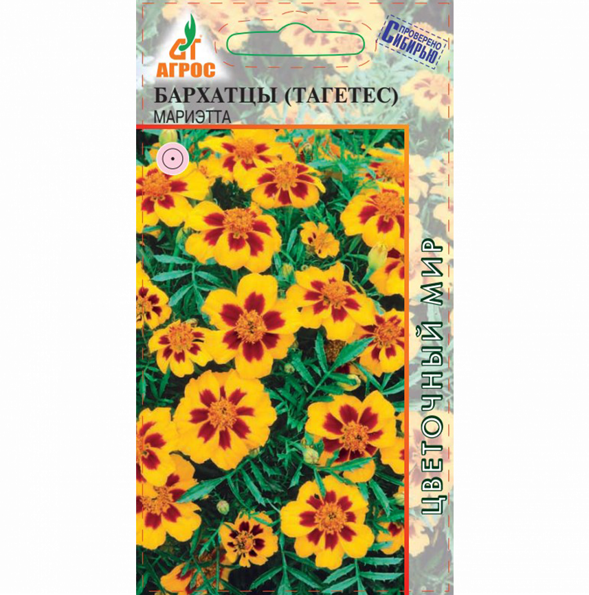 Бархатцы Мариэтта