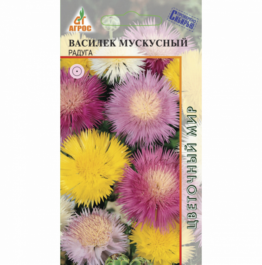 Василек Мускусный Радуга