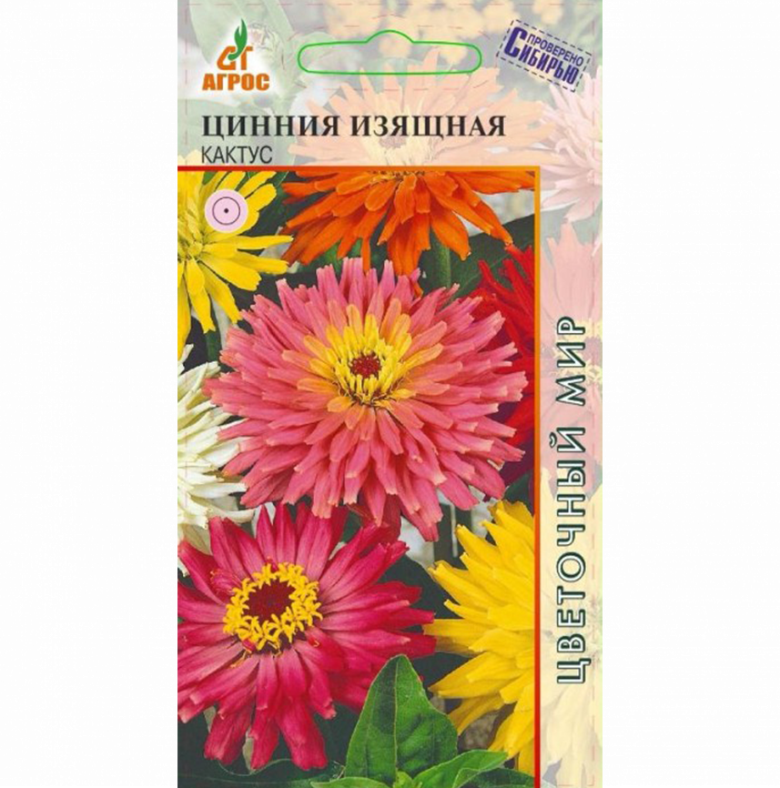Цинния Изящная Кактус