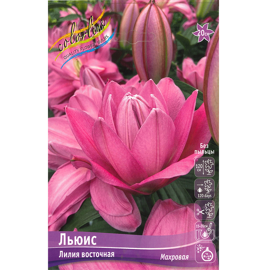 Лилия Льюис