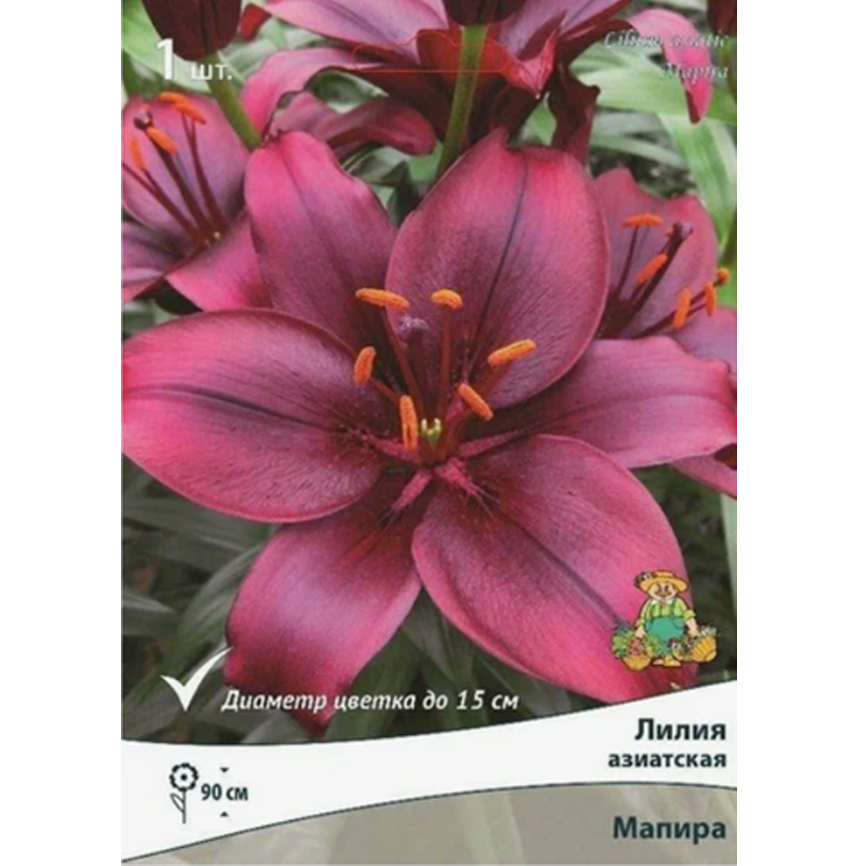 Лилия Макизо
