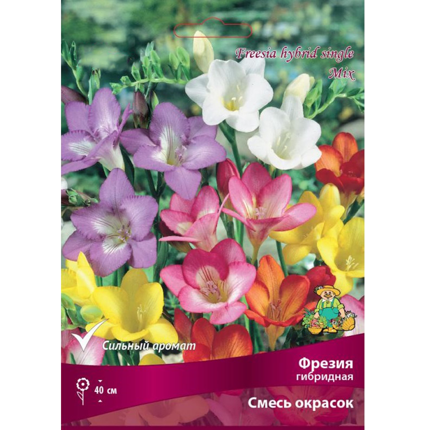 Фрезия Смесь простая