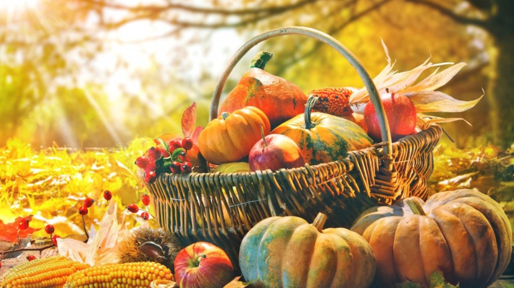 Садовый календарь в сентябре