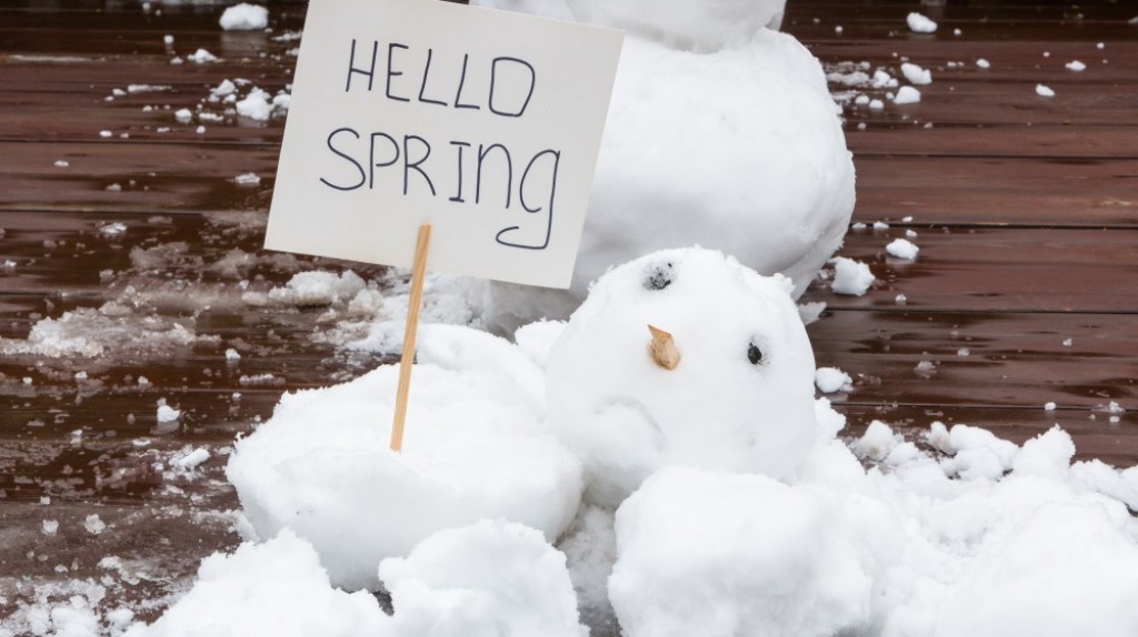 Садовый календарь в марте