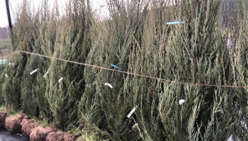 распродажа в Ивино