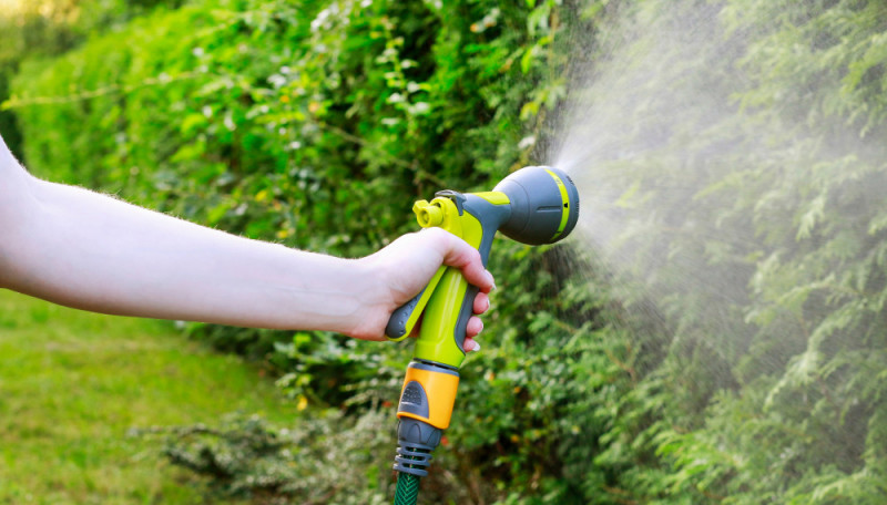 Садовый календарь в июне